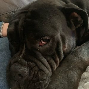 Meet your Posher, Joye